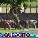 O Vaqueiro Cantador agita a 2ª Grande Cavalgada de Jacarecy 31