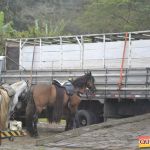 6ª Cavalgada dos Amigos em Pau Brasil foi espetacular 108