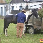 6ª Cavalgada dos Amigos em Pau Brasil foi espetacular 392