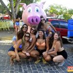 Arraial d’Ajuda: Simplesmente Fantástico o Carna Porco 2019 153