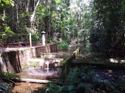 Veracel destaca seu sistema de monitoramento climático da região Sul da Bahia 7