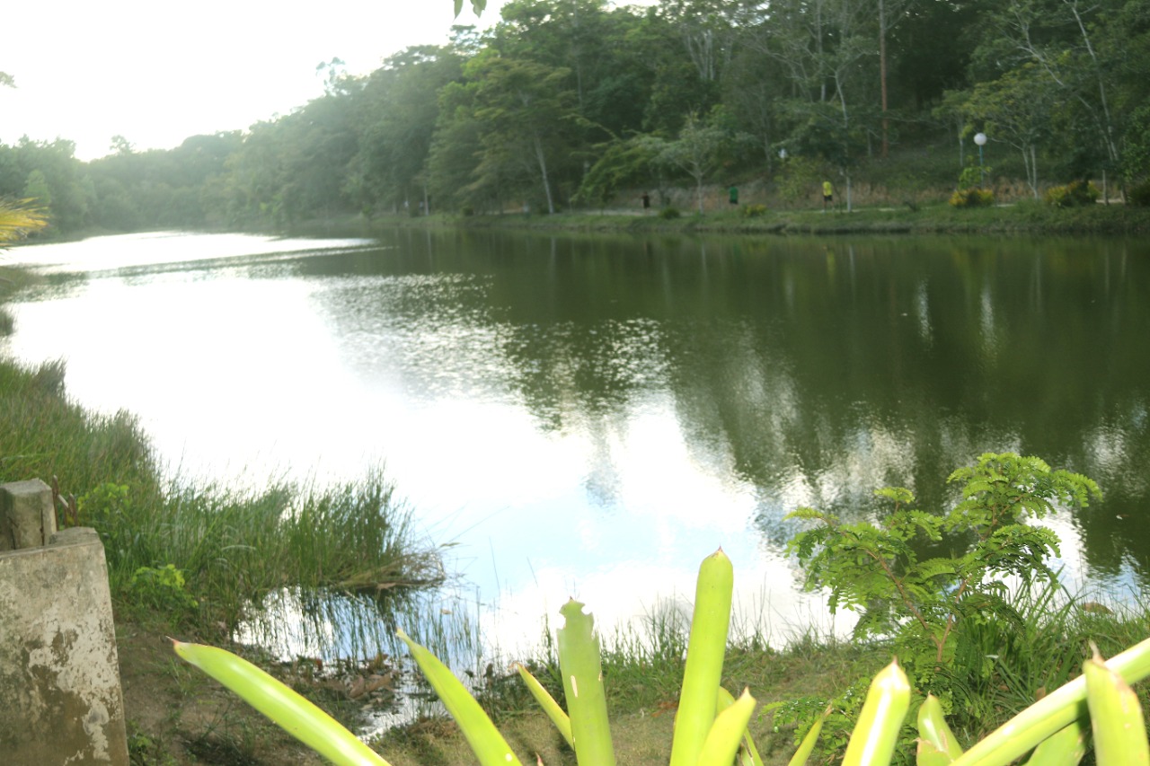 Revitalização transformará Parque Ecológico do Gravatá em exuberante cartão-postal de Eunápolis 26