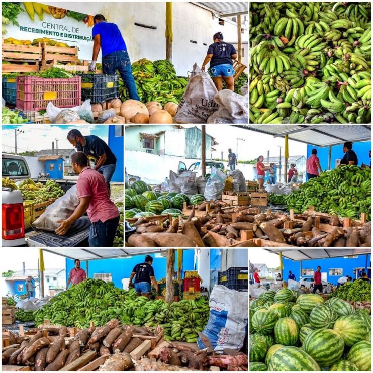 Acompanhe o andamento do Alimenta Brasil em Porto Seguro 4