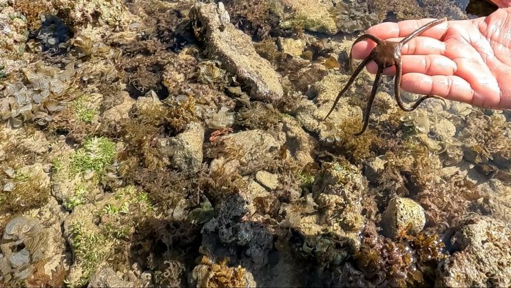 Programa Educação Ambiental no município leva estudantes ao Parque Natural Municipal Marinho do Recife de Fora 16