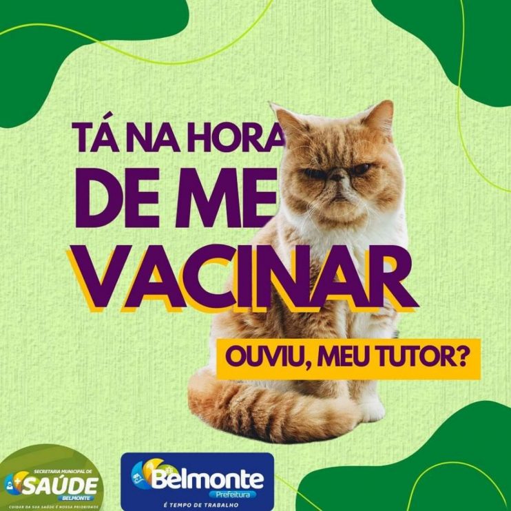 Belmonte: Prefeitura divulga a campanha de vacinação antirrábica, voltada para cães 8