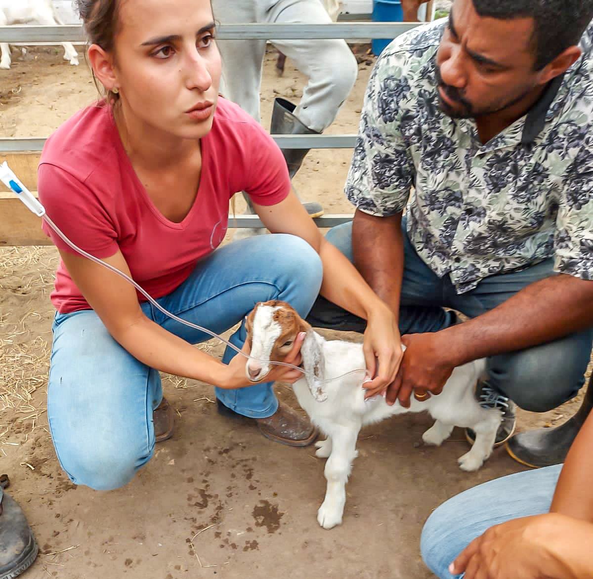 ESPECIALIZAÇÃO – Aula em campo finaliza curso de Ovinocaprinocultura em Porto Seguro 6