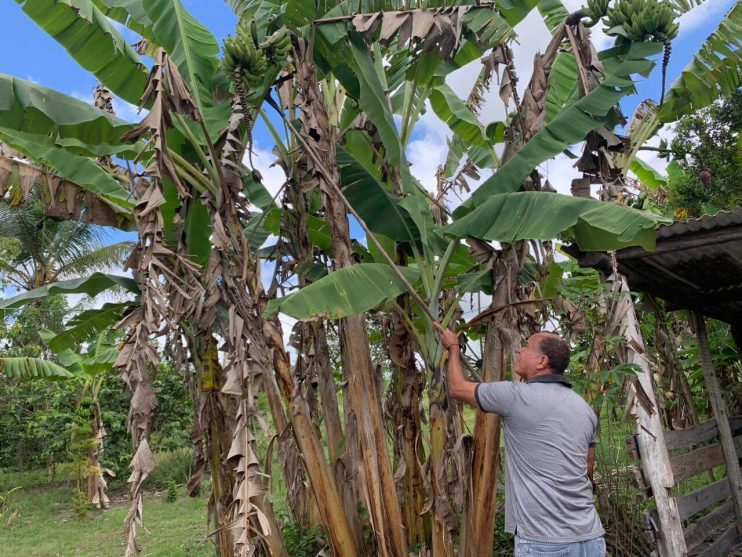 Agricultura realiza visita técnica no meio rural para acompanhar produção dos agricultores cadastrados no PAA 12