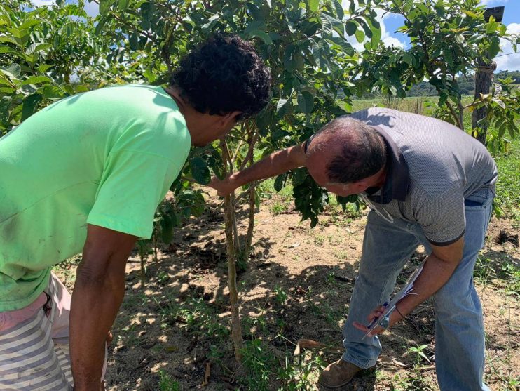 Agricultura realiza visita técnica no meio rural para acompanhar produção dos agricultores cadastrados no PAA 15