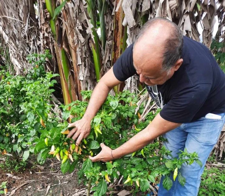 Agricultura realiza visita técnica no meio rural para acompanhar produção dos agricultores cadastrados no PAA 19