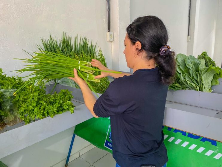 Prefeita Cordélia Torres acompanha primeira aquisição e distribuição de alimentos do PAA 2023 10