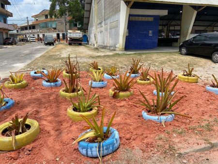 INOVAÇÃO QUE TRANSFORMA: Jardins contra o descarte irregular de lixo e entulhos 4