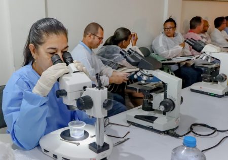 Porto Seguro Sedia Capacitação em Malacologia Médica para Controle da Esquistossomose 11