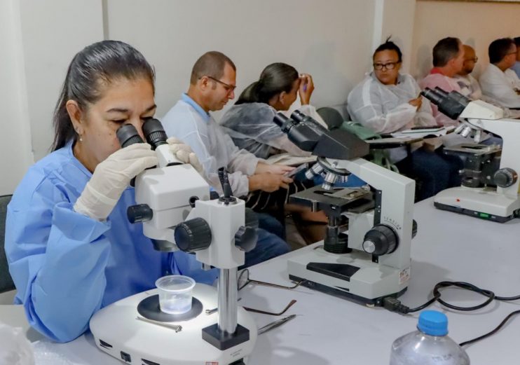 Porto Seguro Sedia Capacitação em Malacologia Médica para Controle da Esquistossomose 4