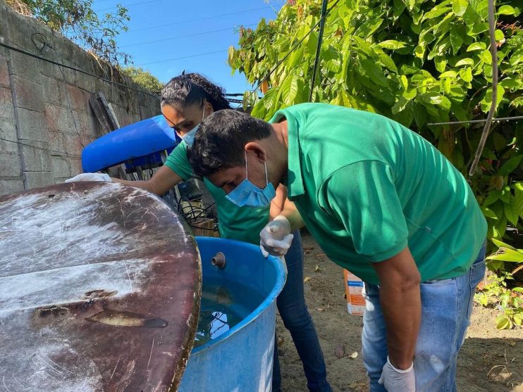 Eunápolis reforça combate ao Aedes aegypti com mutirão no bairro Alecrim I 17