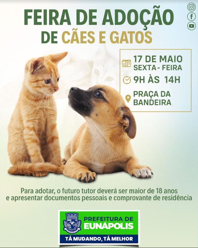 Feira de Adoção de Cães e Gatos acontece nesta sexta-feira na Praça da Bandeira 5