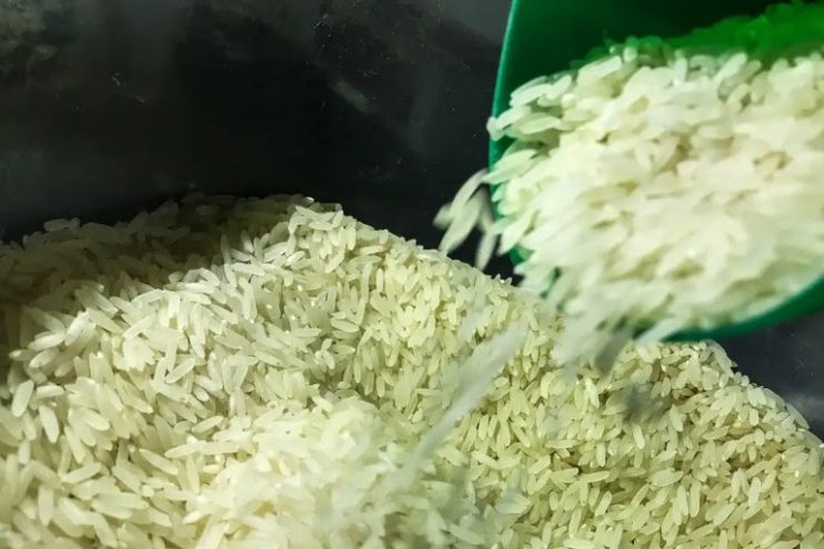 Governo libera mais R$ 6,7 bilhões para garantir arroz a preço justo no prato dos brasileiros 4