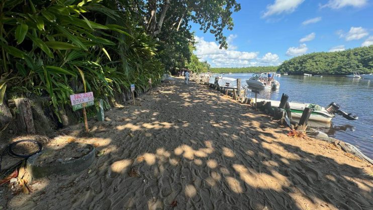 ALUNOS DA REDE PÚBLICA INSTALAM PLACAS DE CONSCIENTIZAÇÃO AMBIENTAL NAS PRAIAS DE PORTO SEGURO 15