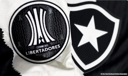 Botafogo irá banir torcedor que cometeu racismo contra Palmeiras 4