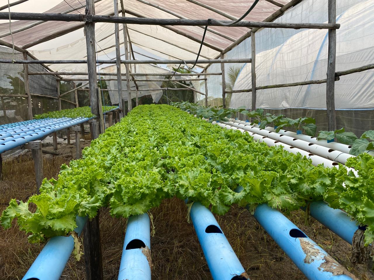 Prefeitura de Porto Seguro cadastra agricultores para o PAA 7