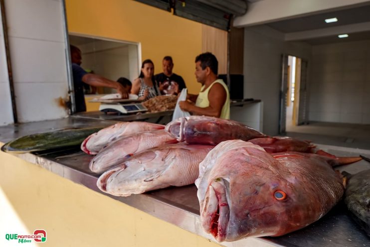 Porto Seguro: Nova Tarifa - Mercado dos Pescadores entra em pleno funcionamento 10