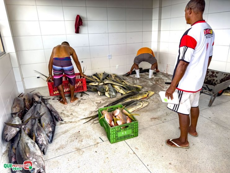 Porto Seguro: Nova Tarifa - Mercado dos Pescadores entra em pleno funcionamento 27