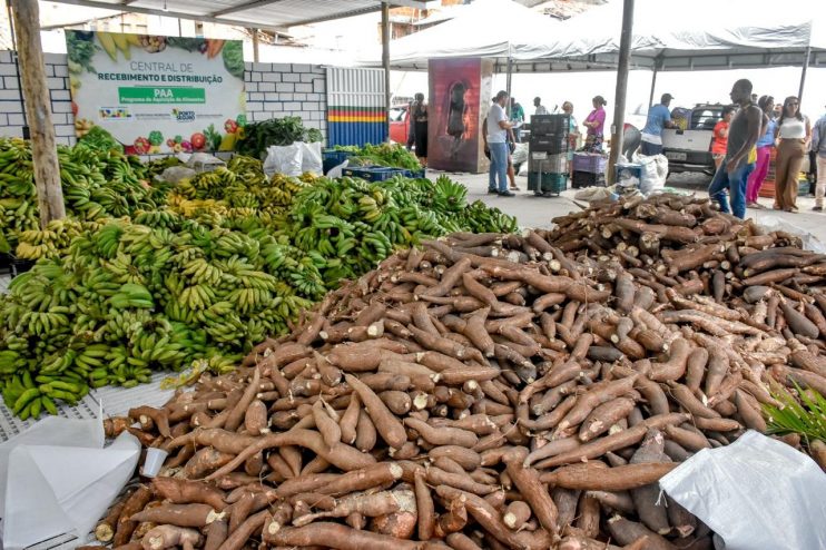 Prefeitura de Porto Seguro realiza compra de 10 toneladas de alimentos da agricultura familiar para famílias em situação de vulnerabilidade 19