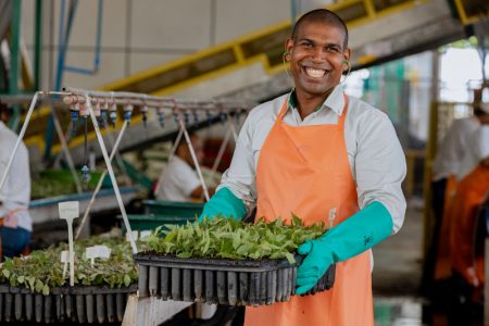 Veracel conquista pela sétima vez consecutiva a certificação Great Place to Work (GPTW) 6