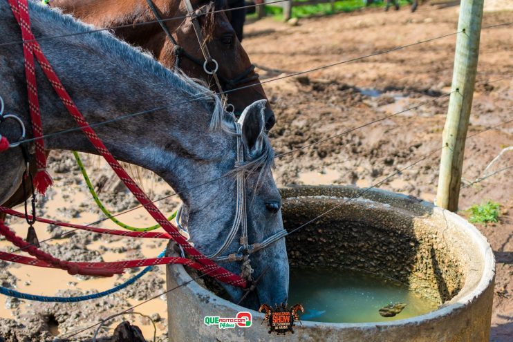 Cavaleiros e amazonas lotam as ruas de Cachoeira do Aranã, durante a Cavalgada Show 255