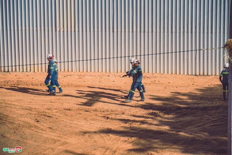 Itabela faz história com a inauguração do Projeto Santa Cruz: um marco na produção de grafite nas Américas 45