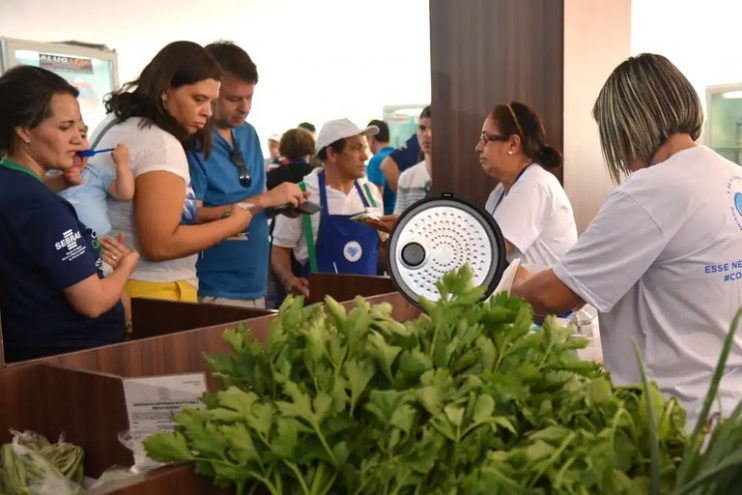 Nordeste abrigou 15,6% dos pequenos negócios abertos no Brasil 4