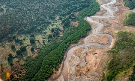 Pesquisa com bactérias na Amazônia pode desenvolver novos medicamentos 6