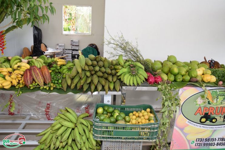 Veracel e SEBRAE promovem almoço com chef Salmo de Oliveira para valorizar agricultura familiar do Sul da Bahia 21