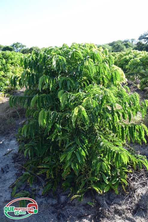 Veracel e SEBRAE promovem almoço com chef Salmo de Oliveira para valorizar agricultura familiar do Sul da Bahia 102