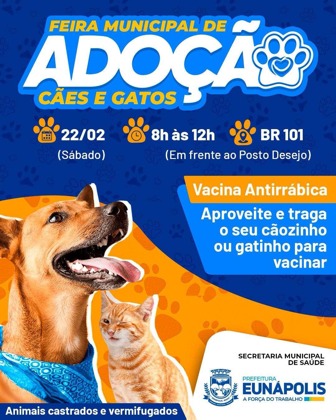 Prefeitura de Eunápolis realiza feira de adoção de cães e gatos neste sábado (22) na UVZ 5