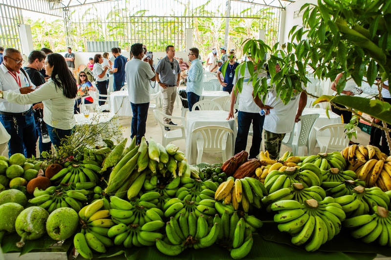 Almoço com chef Salmo de Oliveira para valorizar agricultura familiar do Sul da Bahia 8