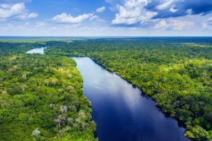 Conabio propõe Metas Nacionais de Biodiversidade até 2030 1